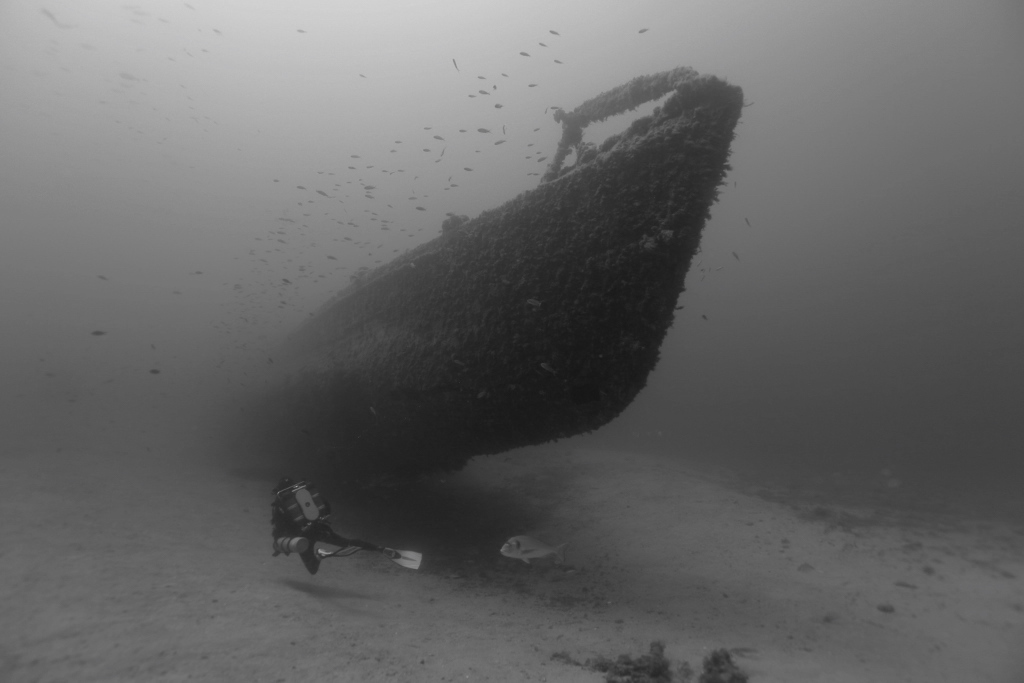 Kraken Plongée Épave Le Rubis Kraken Plongée Épave Le Rubis