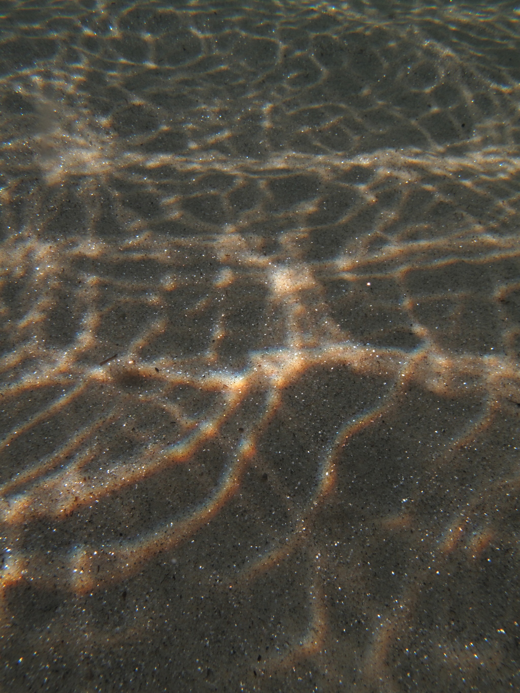Kraken Plongée sable cap nègre Kraken Plongée sable cap nègre
