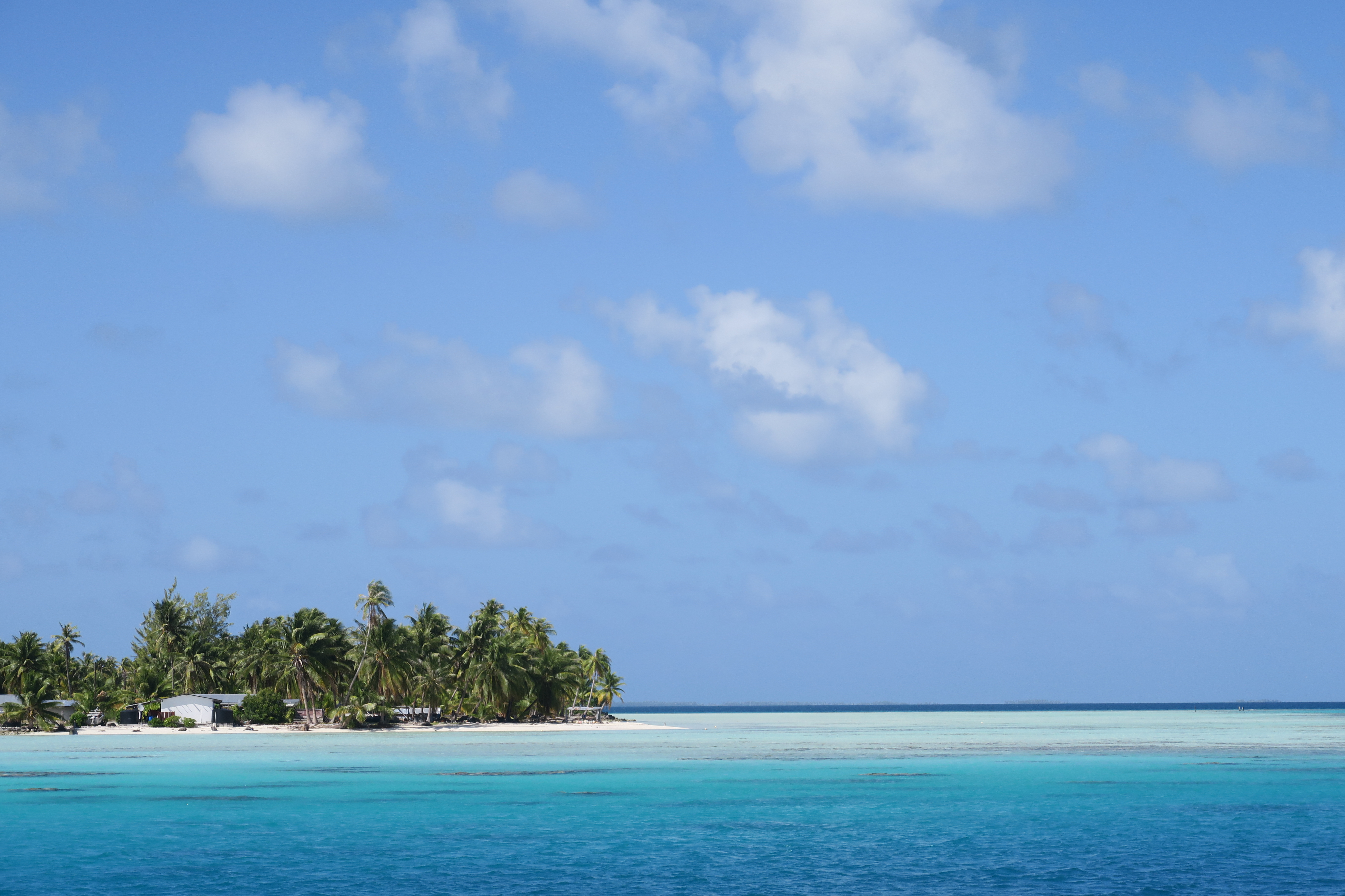 Kraken Plongée Tahiti Kraken Plongée Tahiti