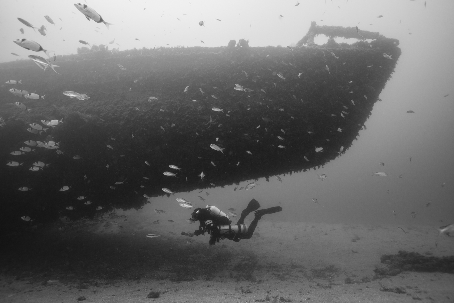 Sous le Rubis Kraken Plongée Sous le Rubis Kraken Plongée
